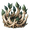 Hakazashi