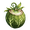 Moricoco