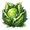 Sujigane